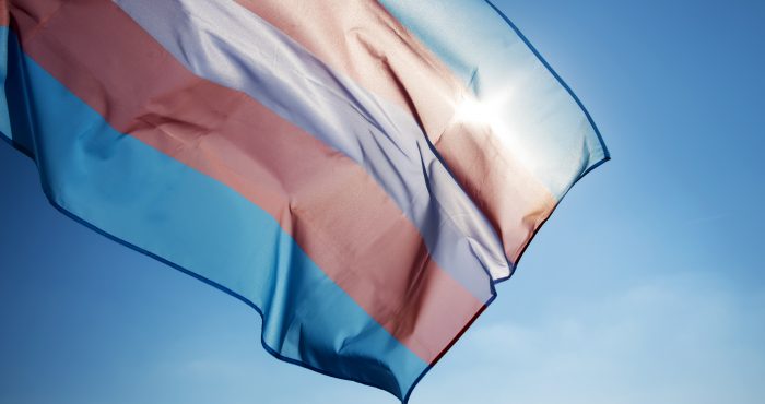 Trans flag