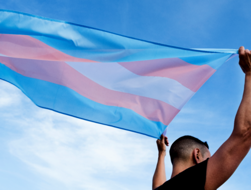 Trans flag waving